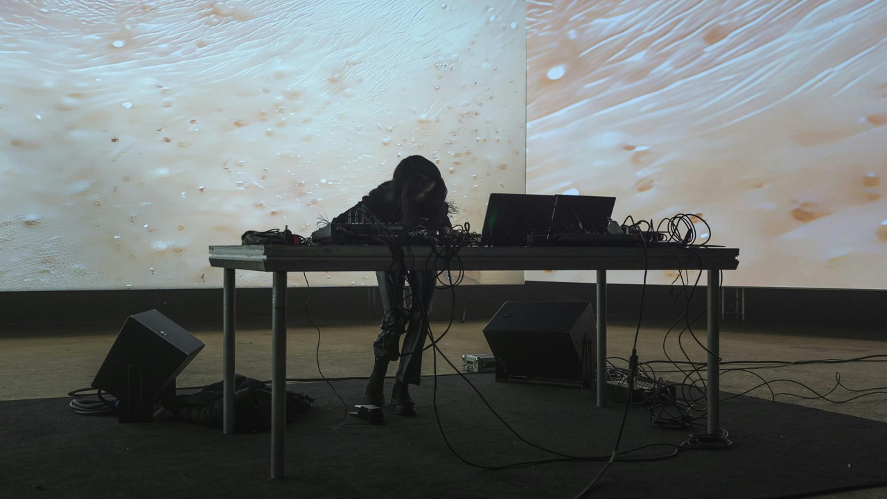 Free Ableton Live 12 Set: Noémi Büchi 'I Was Almost There' Stems