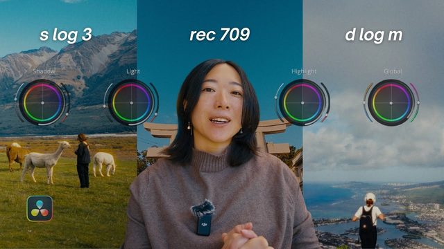 Free DaVinci Resolve 20 PowerGrade: S-Log3, Rec 709 and D-Log M Grades (Rena Gao)