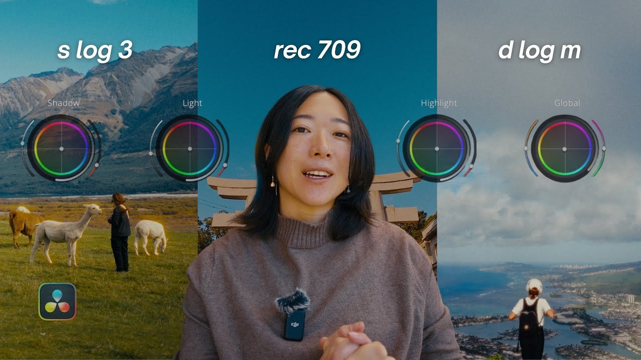 Free DaVinci Resolve 20 PowerGrade: S-Log3, Rec 709 and D-Log M Grades (Rena Gao)