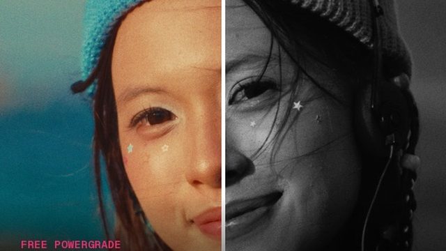 Free DaVinci Resolve PowerGrade: Monochrome Channel-Mixed Black and White Conversion (Franz Brandl)