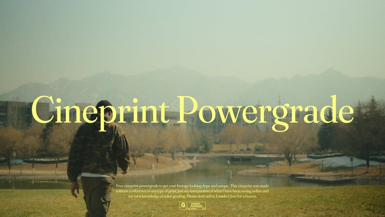 Free DaVinci Resolve PowerGrade: Cineprint Filmic Look without Plugins (Roninxvi)