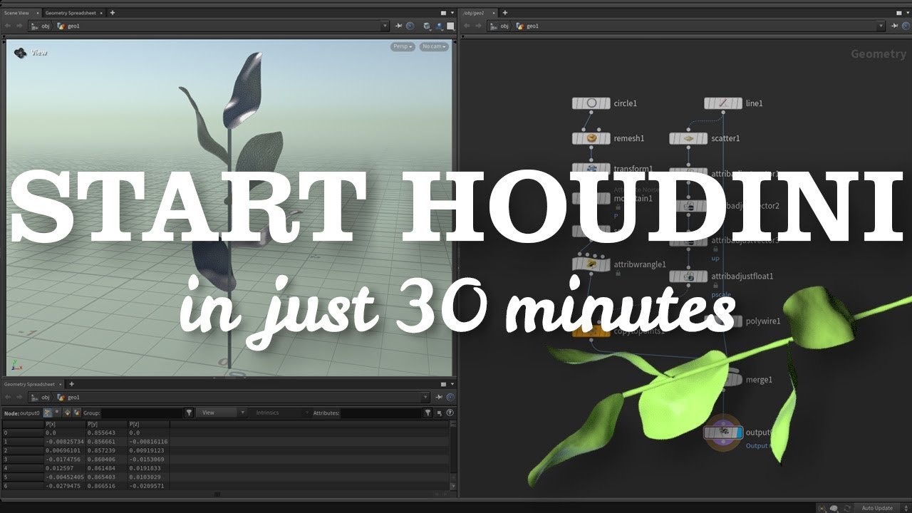 Free Houdini Beginner HIP File: Procedural Branch to Solaris Render