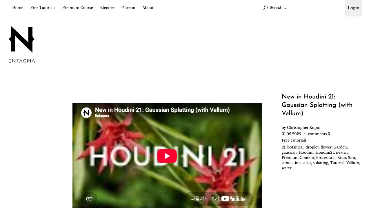 Free Houdini 21 Project File: Gaussian Splatting with Vellum (Entagma)