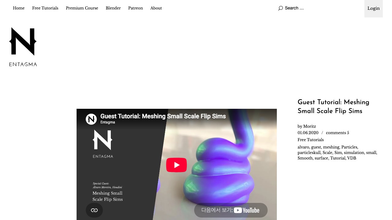 Free Houdini HIPLC: Meshing Small Scale FLIP Sims (Alvaro Moreira, Entagma)
