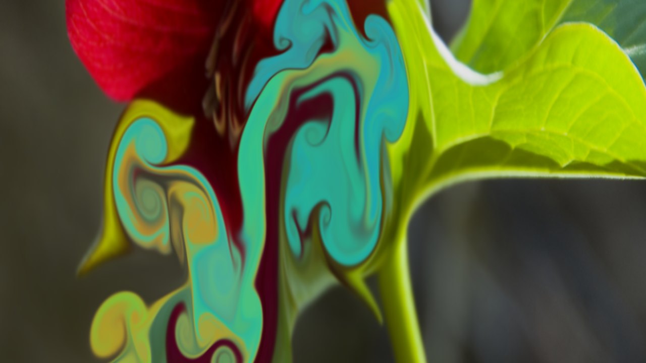 Free TouchDesigner Project: Fluid Simulation Built Only in TOPs (paketa12)